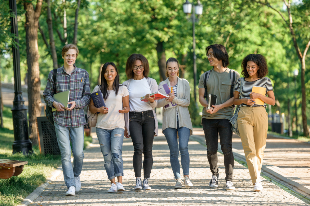 Beasiswa Tanpa IELTS