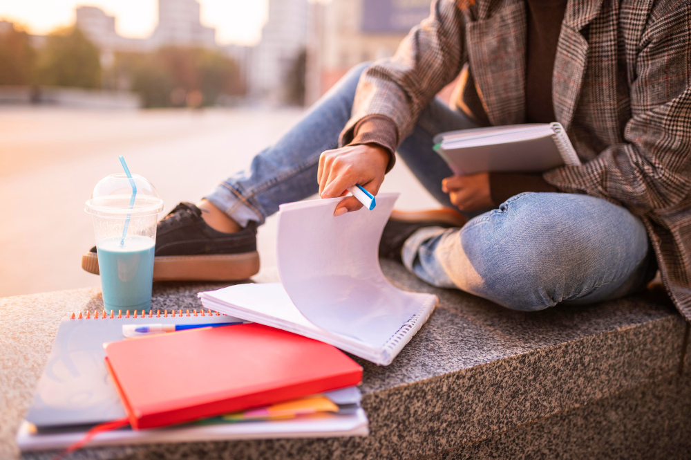 DAAD EPOS Scholarship